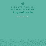 Oxbow Orchard Grass Hay for Small Pets – All-Natural Long Strand Fiber Hay for Rabbits, Guinea Pigs, Chinchillas, and Hamsters – Supports Digestive Health and Enrichment – 40 oz Bag - Image 8