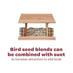 Kaytee All American Wild Bird Food Seed Blend, 5 Pound - Image 5