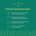 Oxbow Western Timothy Hay, Guinea Pig Hay, Small Pet Bunny Supplies, All Natural Grass for Guinea Pig, Bunny, Chinchilla & Hamster, Oxbow Rabbit Supplies for Bunnies, 90 oz. bag - Image 5