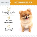 Salmon Oil for Dogs - Premium Fish Oil for Skin and Coat Health - Omega 3 Supplement - Supports Itchy Skin - 8 oz Liquid - Norwegian Dog Salmon Oil - Essential Dog Supplement - Image 4