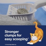 Fresh Step Outstretch Advanced Long Lasting Clumping Litter with Febreze Freshness, Activated Charcoal Litter Lasts 50% Longer, 32 lbs. (2 x 16 lb. Box) - Image 6