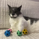 SPOT Sponge Soccer Ball Cat Toys - Interactive and Colorful Plush Toy, Fun for Cats and Kittens to Bat and Chase, Keep Cats Entertained - 1.5" Assorted 4- Pack - Image 10