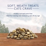 Blue Buffalo Wilderness Grain Free Soft-Moist Chicken & Salmon Cat Treats - Image 6
