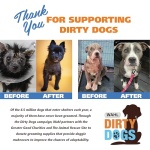 Wahl USA Dry Skin & Itch Relief Pet Shampoo for Dogs – Oatmeal Formula with Coconut Lime Verbena Scent & Pet Friendly Formula, 24 Oz - Model 820004A - Image 2