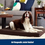 Barkbox Orthopedic Dog Bed with Memory Foam, Premium Comfort for Dogs and Puppies, Dog Bed for Joint Relief and Restful Sleep, Durable and Easy to Clean - Espresso, Large - Image 3