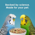 Kaytee Forti-Diet Pro Health Nourish+Protect Parakeet Food, Comprehensive Nutrition Backed by Science, Digestive Health, Immune Support, 2 pounds - Image 4