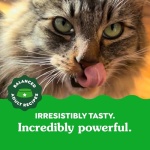 Greenies Feline Adult Dental Cat Treats, Oven Roasted Chicken Flavor, 9.75 oz. Tub - Image 4