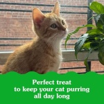 Greenies Feline Smartbites Healthy Kitten Treats, Crunchy and Soft Natural Cat Treats, Chicken Flavor, 16 oz Tub - Image 4