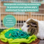 Oxbow Essentials Guinea Pig Food, Adult Guinea Pig, Made with Oxbow Timothy Hay, Pet Food Pellets with Vitamin C, Small Animal Pet Products, Made in USA, High Fiber, 5 lb. bag - Image 7