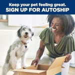 Hill's Science Diet Adult 1-6, Adult 1-6 Premium Nutrition, Small Kibble, Dry Dog Food, Lamb & Brown Rice, 15.5 lb Bag - Image 4