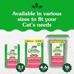 Greenies Feline Smartbites Skin & Fur Health Crunchy and Soft Cat Treats, Salmon Flavor, 4.6 oz. Pack - Image 2