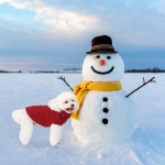 Mihachi Turtleneck Dog Sweater - Winter Coat Apparel Classic Cable Knit Clothes with Leash Hole for Cold Weather, Ideal Gift for Pet in New Year - Image 2