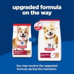 Hill's Science Diet Adult 1-6, Adult 1-6 Premium Nutrition, Small Kibble, Dry Dog Food, Lamb & Brown Rice, 15.5 lb Bag - Image 15