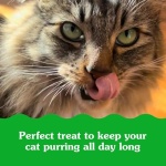 Greenies Feline Smartbites Skin & Fur Health Crunchy and Soft Cat Treats, Salmon Flavor, 4.6 oz. Pack - Image 4