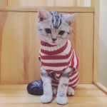 BOBIBI Cat Sweater Christmas Santa Claus Pet Cat Winter Knitwear Warm Clothes Medium - Image 2