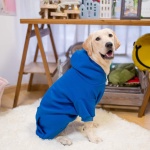 KOOLTAIL Basic Dog Hoodie - Soft and Warm Dog Hoodie Sweater with Leash Hole and Pocket, Dog Winter Coat, Cold Weather Clothes Sweatshirt for Small Medium Large Dogs Puppy Cat Boys Girls Blue XL - Image 2