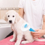 Depets Self Cleaning Slicker Brush, Dog Cat Bunny Pet Grooming Shedding Brush - Easy to Remove Loose Undercoat, Pet Massaging Tool Suitable for Pets with Long or Short Hair - Image 3