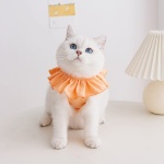 Cat Recovery Suit for Abdominal Wounds and Skin Diseases,Breathable Surgical Recovery Shirt After Surgery Wear Anti Licking Wounds,E-Collar Alternative for Female Cats Kitten(RSC01-orange-m) - Image 2