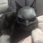 Cat Mask Cosplay, Cat Halloween Costumes, Funny Cat Costumes Accessories (Large) - Image 3