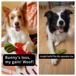 MewaJump Dog Squeaky Chew Toys for Aggressive Chewers, Rubber Carrot Dog Toys for Training and Cleaning, Durable Interactive Tough Dog Toy for Puppy Medium Dogs - Image 6