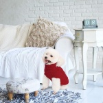 Mihachi Turtleneck Dog Sweater - Winter Coat Apparel Classic Cable Knit Clothes with Leash Hole for Cold Weather, Ideal Gift for Pet in New Year - Image 3