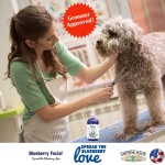 Showseason Animal Products South Bark's Blueberry Clove Dog Cologne | Dog Perfume Long Lasting | Deodorizing Spray - Image 5
