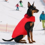 ASENKU Dog Winter Coat, Fleece Doggie Jacket Plaid Reversible Vest Waterproof Windproof Cold Weather Clothes for Small Medium Large Dogs(Red, M) - Image 4