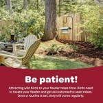 Kaytee All American Wild Bird Food Seed Blend, 5 Pound - Image 4