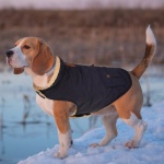 Queenmore Warm Puffer Dog Jacket, Quilting Winter Coat Ultra Thick Plush Lining with Storage Pockets (Dark Navy, X-Small) - Image 7