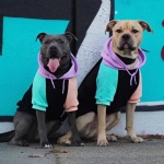 Spark Paws Dog Hoodie – Premium Dog Sweater for Small, Medium, and Large Dogs | Warm Outfits for French Bulldogs, Pitbull, Puppy, Winter Jacket Alternative - Cyber Punk - L - Image 4