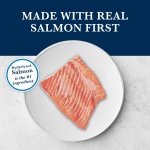 Blue Buffalo Natural Veterinary Diet HF Hydrolyzed for Food Intolerance Dry Dog Food, Salmon 22-lb Bag - Image 8