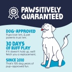 goDog Gators Squeaky Plush Dog Toy with Chew Guard Technology, Durable Fabric & Squeaker for Active Play, Blue, Large - Image 4