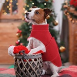 Queenmore XXS Dog Sweaters, Soft Fleece Vest Pullover Dog Jacket with Leash Hole, Warm Winter Dog Clothes Cold Weather Doggy Dachshund Sweater for Small Dogs Cats Boy or Girl (Red, XXS) - Image 4