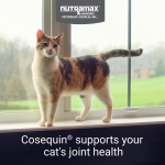 Nutramax Cosequin for Cats Joint Health Supplement, Contains Glucosamine for Cats, Plus Chondroitin, and Omega-3s, Supports Joint and Skin and Coat Health, Sprinkle Capsules, 80 Count - Image 7