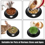 Serentive 2 Pcs Non-Slip Stainless Steel Small Food Bowls - Unbreakable, Thicken Cat Feeder, 7 Oz Dishes - Suitable for Indoor Small Pets - Removable Rubber Base, Easily Clean, Lovely Color - Image 4