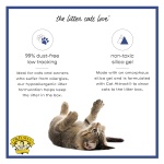 Precious Cat Senior Litter, 8lbs - Image 5