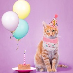 ADOGGYGO Cat Birthday Party Supplies, Pink Girl Cat Kitten Birthday Bandana Hat Numbers Pet Birthday Decorations Outfits - Image 6