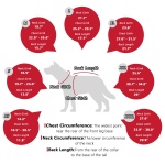 BECROWM Dog Coat Dogs Jacket Waterproof Reflective Adjustable Dog-Winter Coats for Small/Medium/Large Dogs Dachshund Coat-(Red, Medium) - Image 2