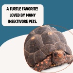 Fluker's Freeze Dried River Shrimp, Nutrient-Packed, Ideal for Lizards, Reptiles, Birds, Fish, Hedgehogs, 1 Oz - Image 5