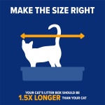 Arm & Hammer Rimmed Cat Litter Box with High Sides and Microban, Made in USA - Image 4