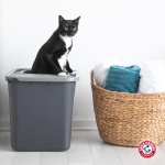Arm & Hammer Premium Top Entry Litter Box with Filter to Clean Paws and Microban, Made in USA - Image 3