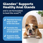 Vetnique Glandex Dog Fiber Supplement Powder for Anal Glands with Pumpkin, Digestive Enzymes & Probiotics - Vet Recommended (Regular or Advanced Strength) - Boot The Scoot (4.0 oz, Salmon) - Image 7