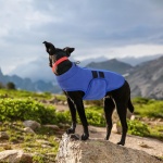 Queenmore Soft Fleece Dog Jacket, Warm Winter Coat with Leash Hole, Dachshund Sweaters for Small Dogs Cats Boy or Girl (Blue, S) - Image 5