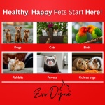 Styptic Powder for Dogs, Cats, and Birds (2 oz) by Evo Dyne | Fast-Acting Blood Stop for Pets | Quick Stop Bleeding Powder for Dog Nail Clipping, Grooming, Cuts and More (1-Pack) - Image 5