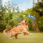 DODODOLA Dog Toys Dinosaur Dog Toy Blue Stuffed Animals Chew Toy Plush Squeaky Dog Birthday Toys for Small Large Big Dogs - Image 2