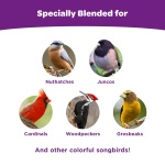 Kaytee Nut & Fruit Wild Bird Seed, 5 lb - Image 9