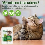 Hkpetie 30g Cat Grass Sticks, Delicious Cat Grass Teething Stick Edible Cats Chew Toy Cat Treats Snack for Teeth Cleaning and Hairball Removal - Image 5