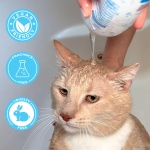 Pawtitas Natural Cat Shampoo - Fragrance Free, Organic Oatmeal Grooming Supplies for Cats and Kittens - 16 Fl Oz - Image 3