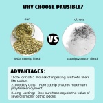 Pawsible Cat Toys for Indoor Cats, 100% Pure Organic Catnip-Filled Toys Without Cotton, Interactive Cactus Kitten Toy for Anxiety Relief, Soft Cute Teething &Chew Toys, 5 Pack - Image 7