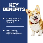 Hill's Science Diet Adult 1-6, Adult 1-6 Premium Nutrition, Small Kibble, Dry Dog Food, Chicken & Barley, 5 lb Bag - Image 14